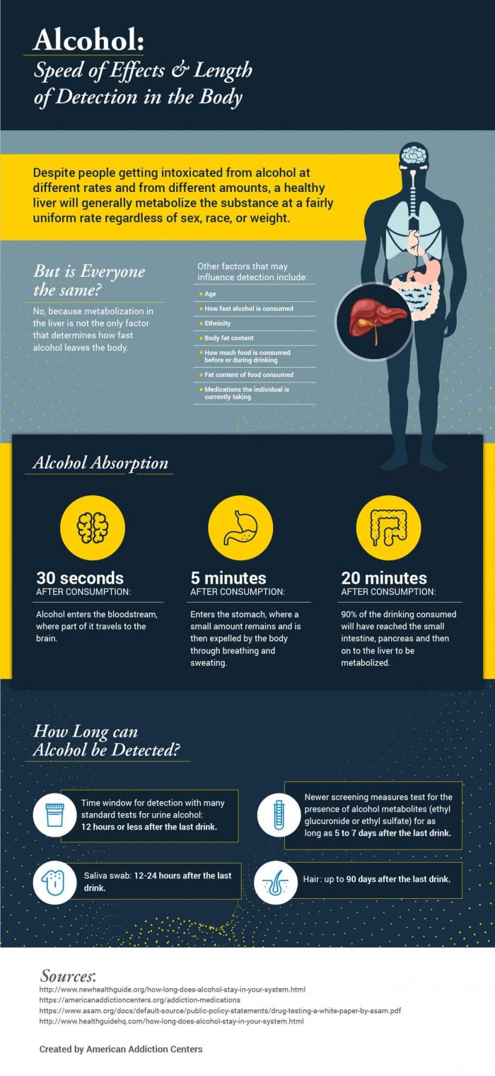 How Long Does Alcohol Stay in Your System Blood, Urine