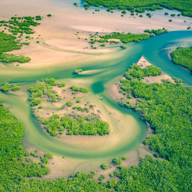 Cayman Eco Beyond Cayman Climate change will transform