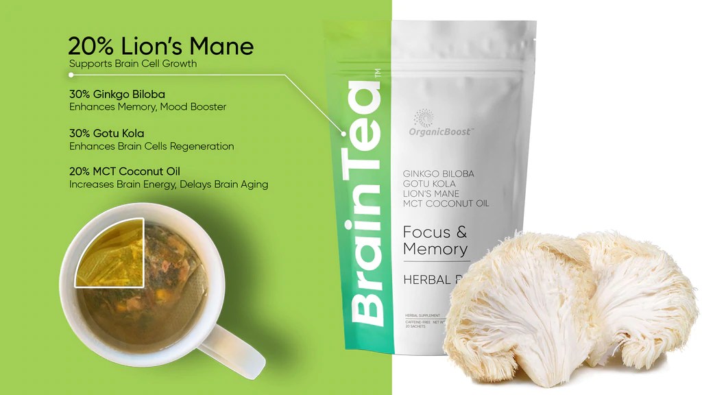 How To Make Lions Mane Tea How To Grow Lion S Mane