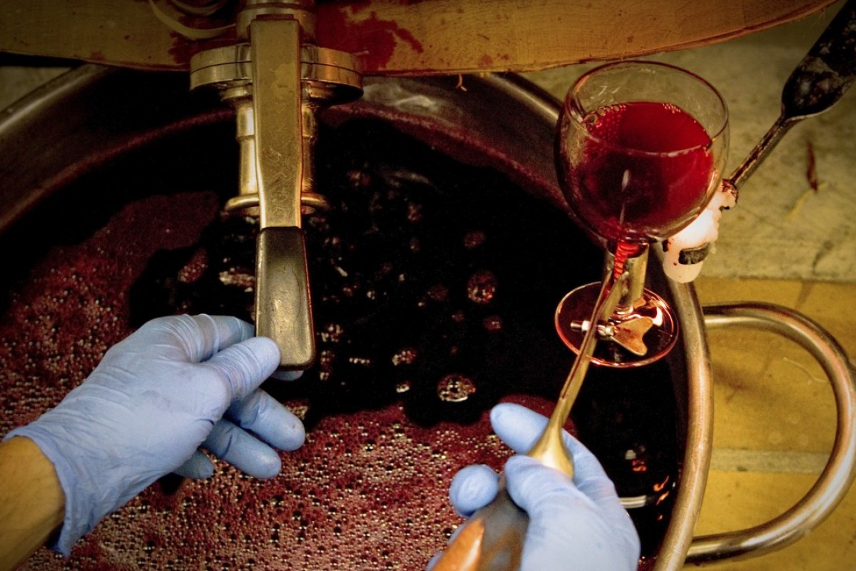 How To Clean Tongue After Red Wine / 2016 Steeple Street