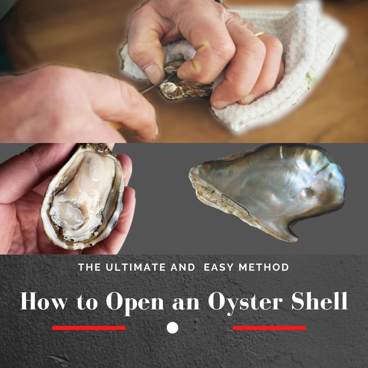 How to Open an Oyster ShellIn Easy Way! Easeful Kitchen