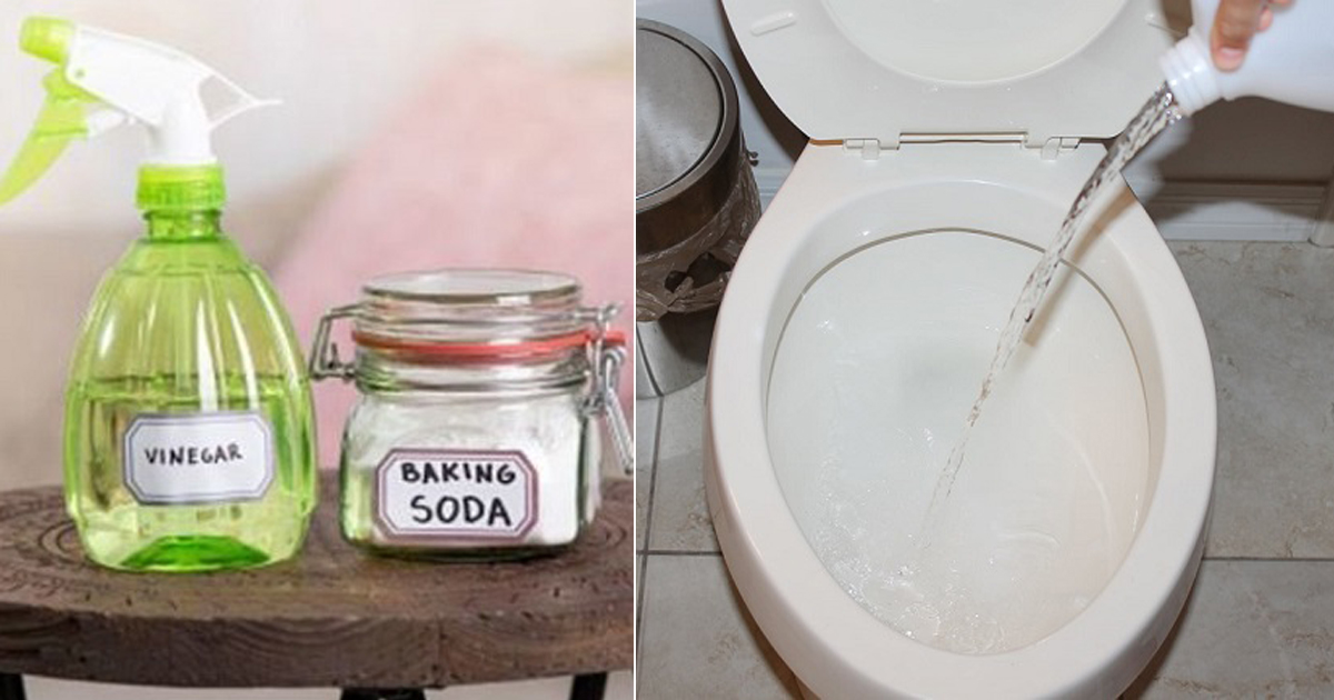 Baking Soda and Vinegar for Clogged Toilet Hello Lidy