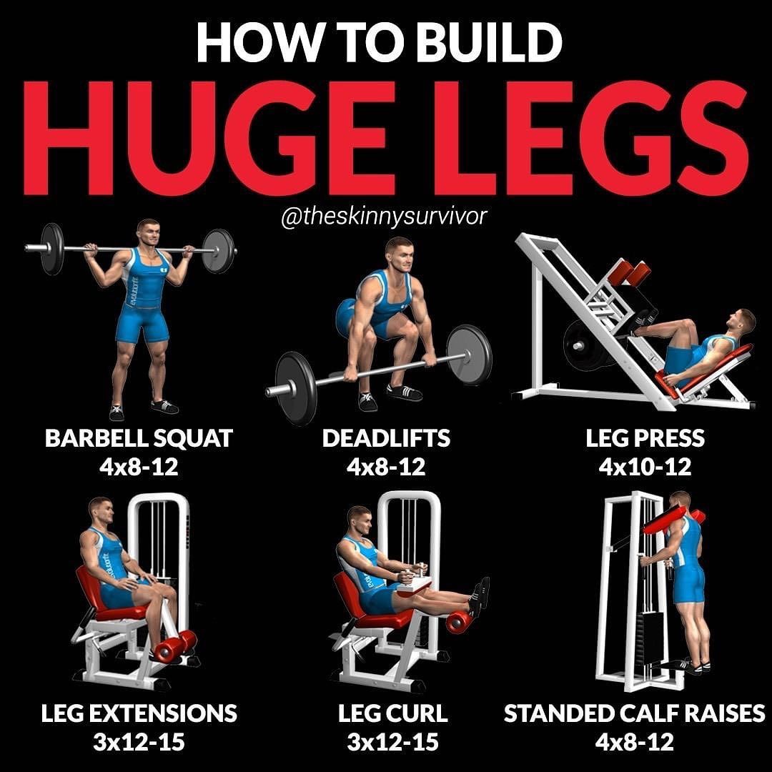 How To Measure Torso To Leg Ratio unugtp
