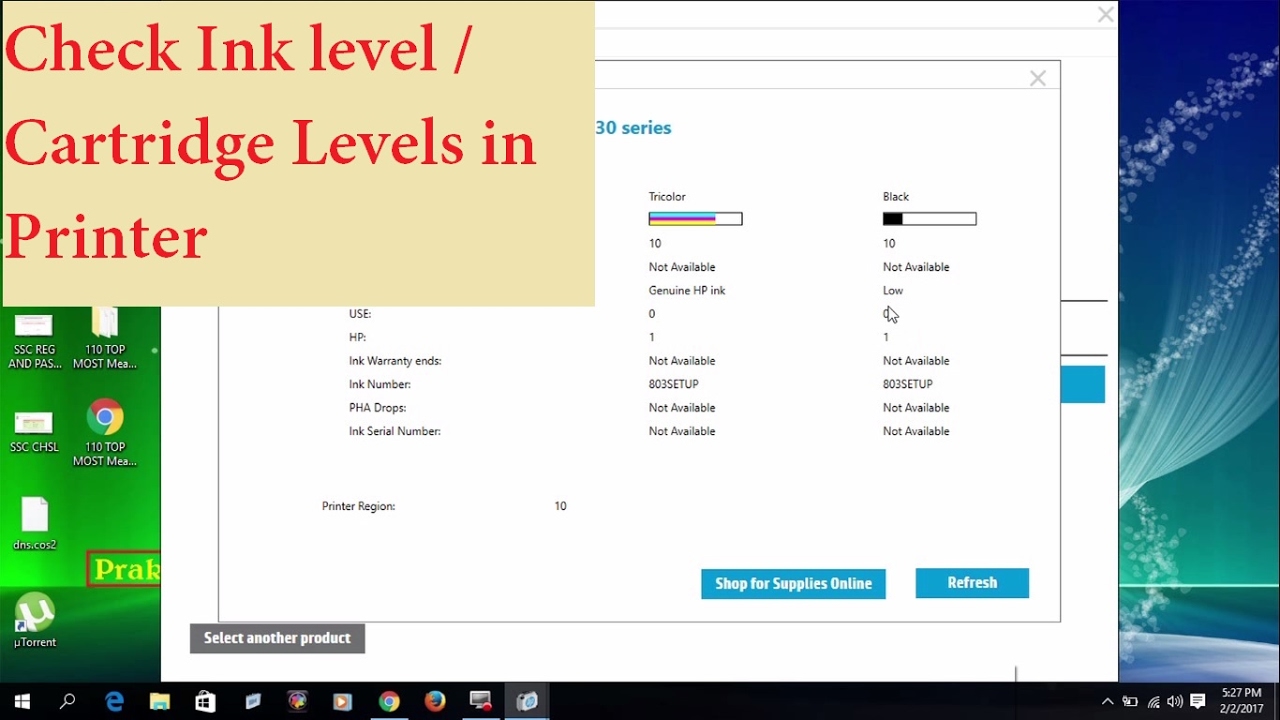 How do You check the ink level (Cartridge Levels) in