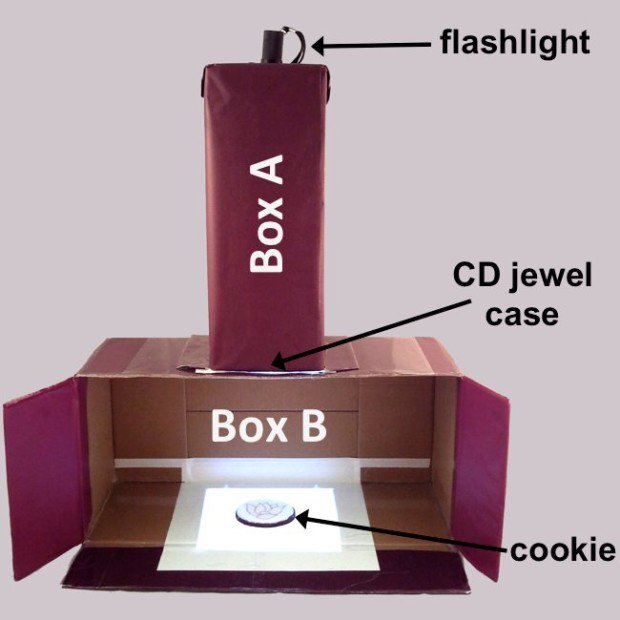 Build a Projector for Tracing Designs on Baked Goods Make