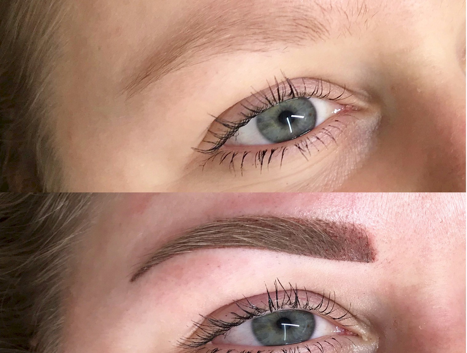 Microblading / powder brows Monsta Ink Tattoo Studio