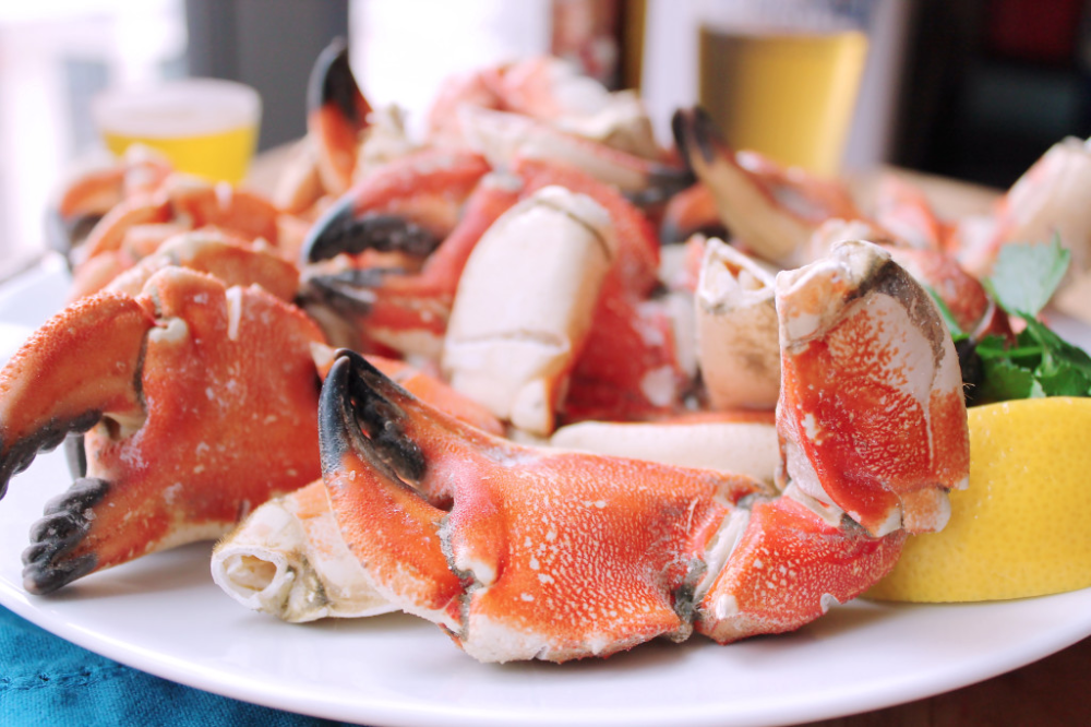 5 Minute Steamed Stone Crab Claws Kit's Kitchen Recipe