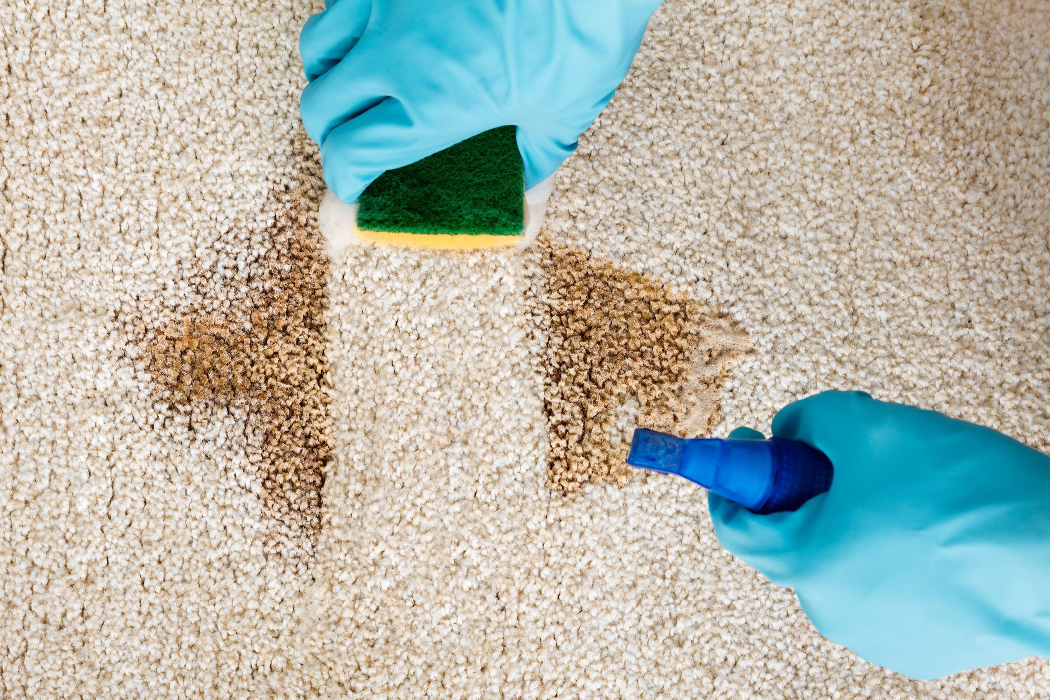The 8 Best Carpet Stain Removers of 2021 Best carpet