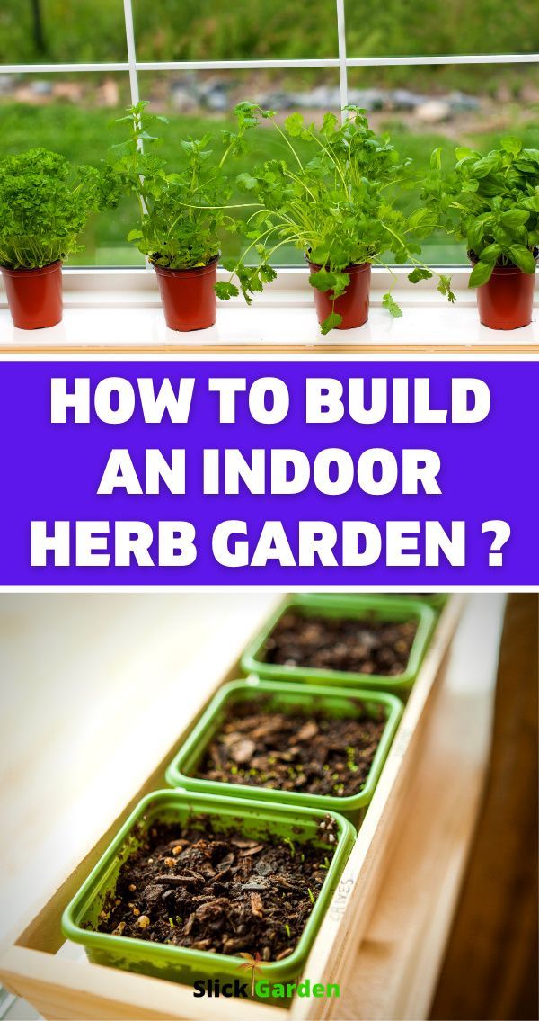 how to build an indoor herb garden? in 2021 Indoor herb