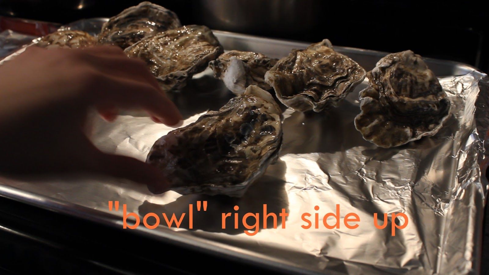 How To Open Oysters In Microwave Ideas