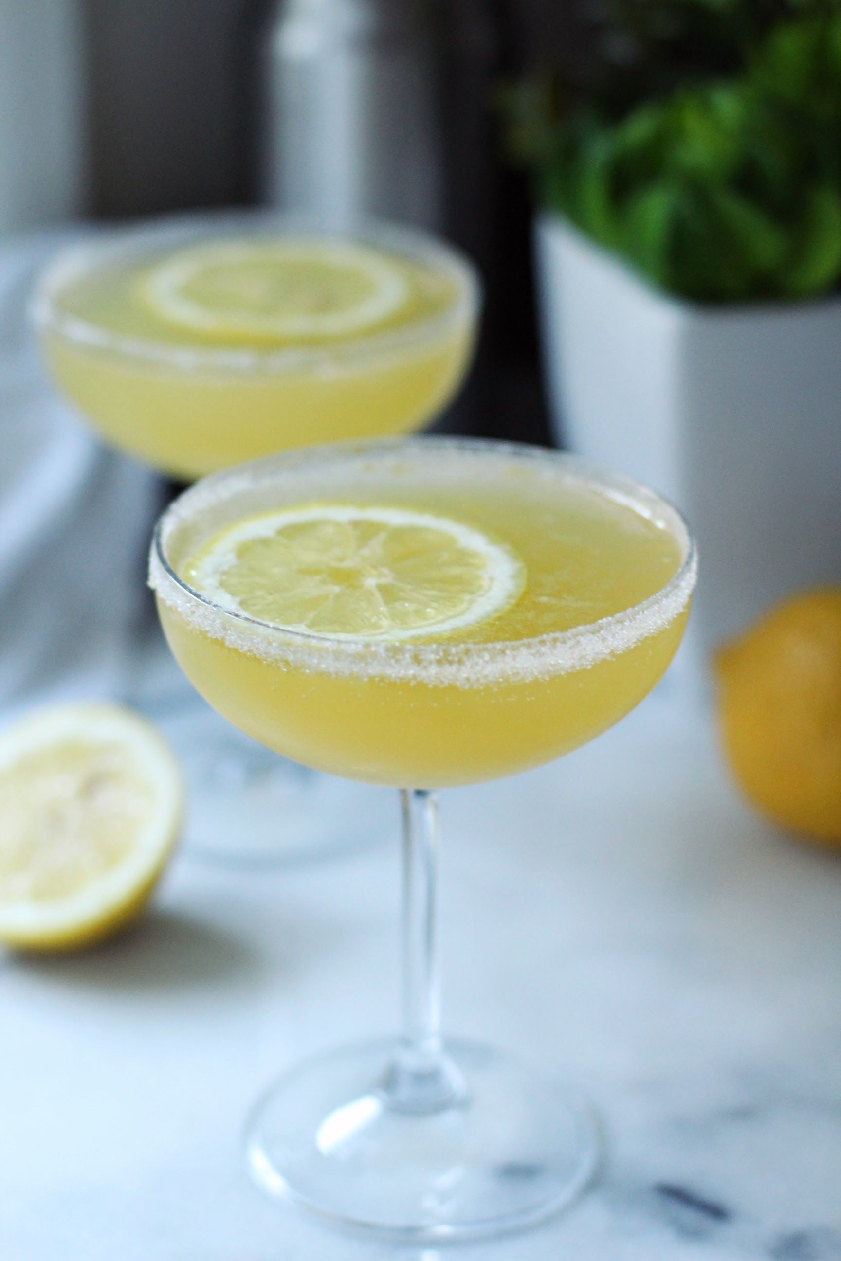 Honey Lemon Drop Martinis from Infinite Zest Lemon drop