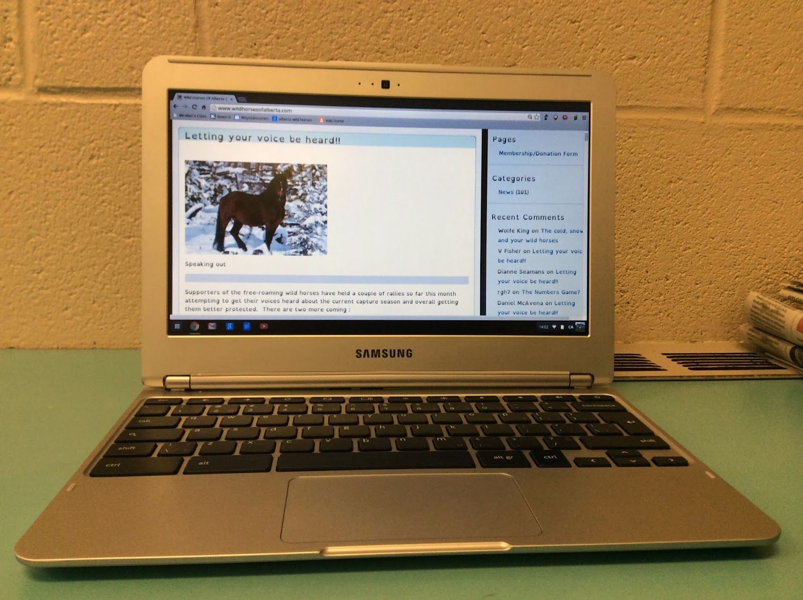 How To Unblock Inspect On School Chromebook Ideas