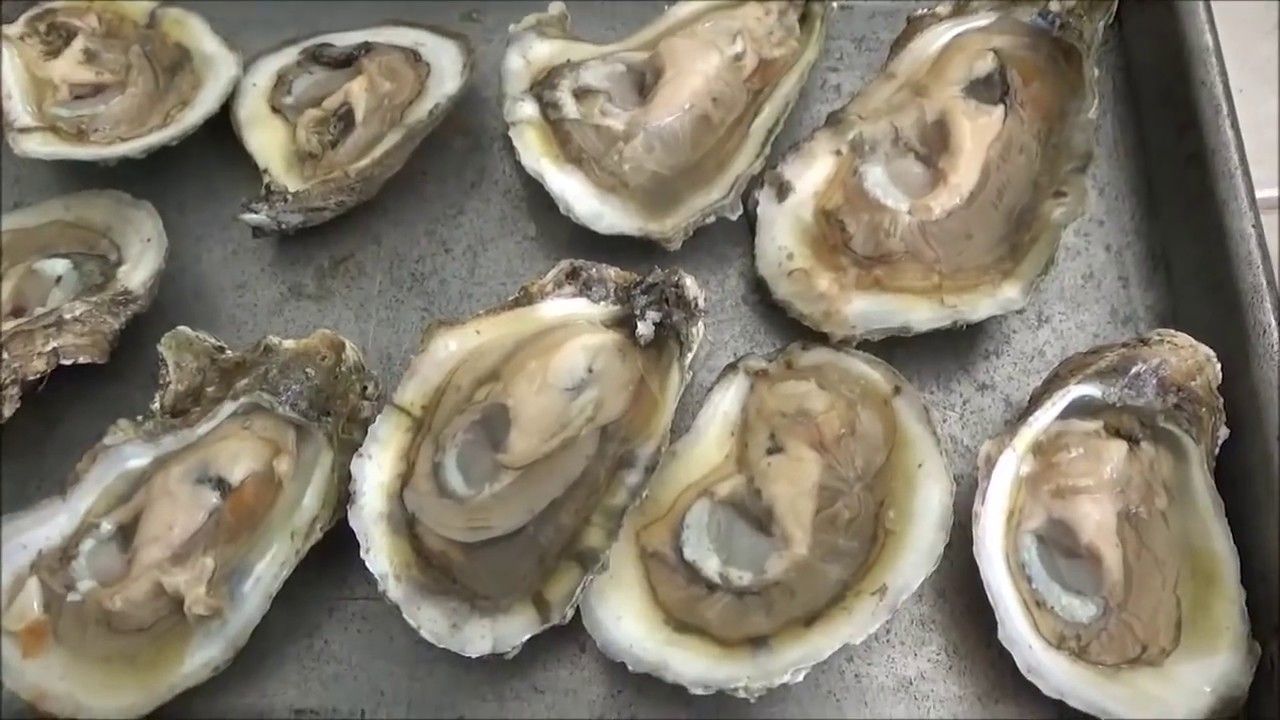 How To Prepare Oysters at Craigslist