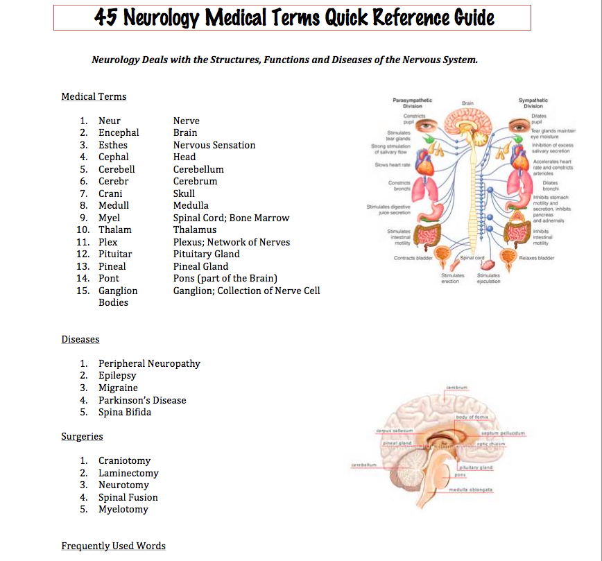 Medical Term For Disease Of The Brain Captions Omega