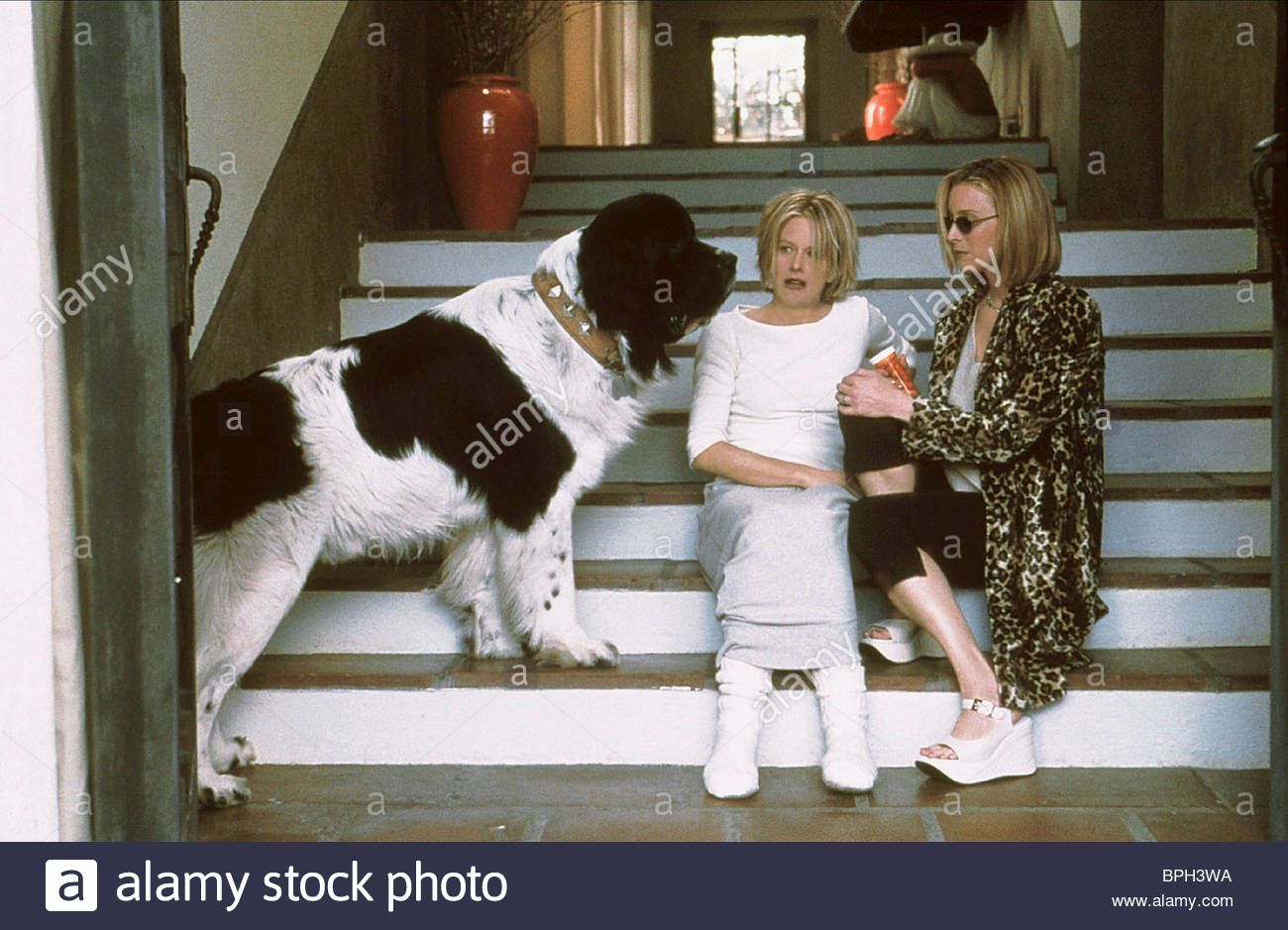MEG RYAN LISA KUDROW & ST BERNARD DOG St bernard