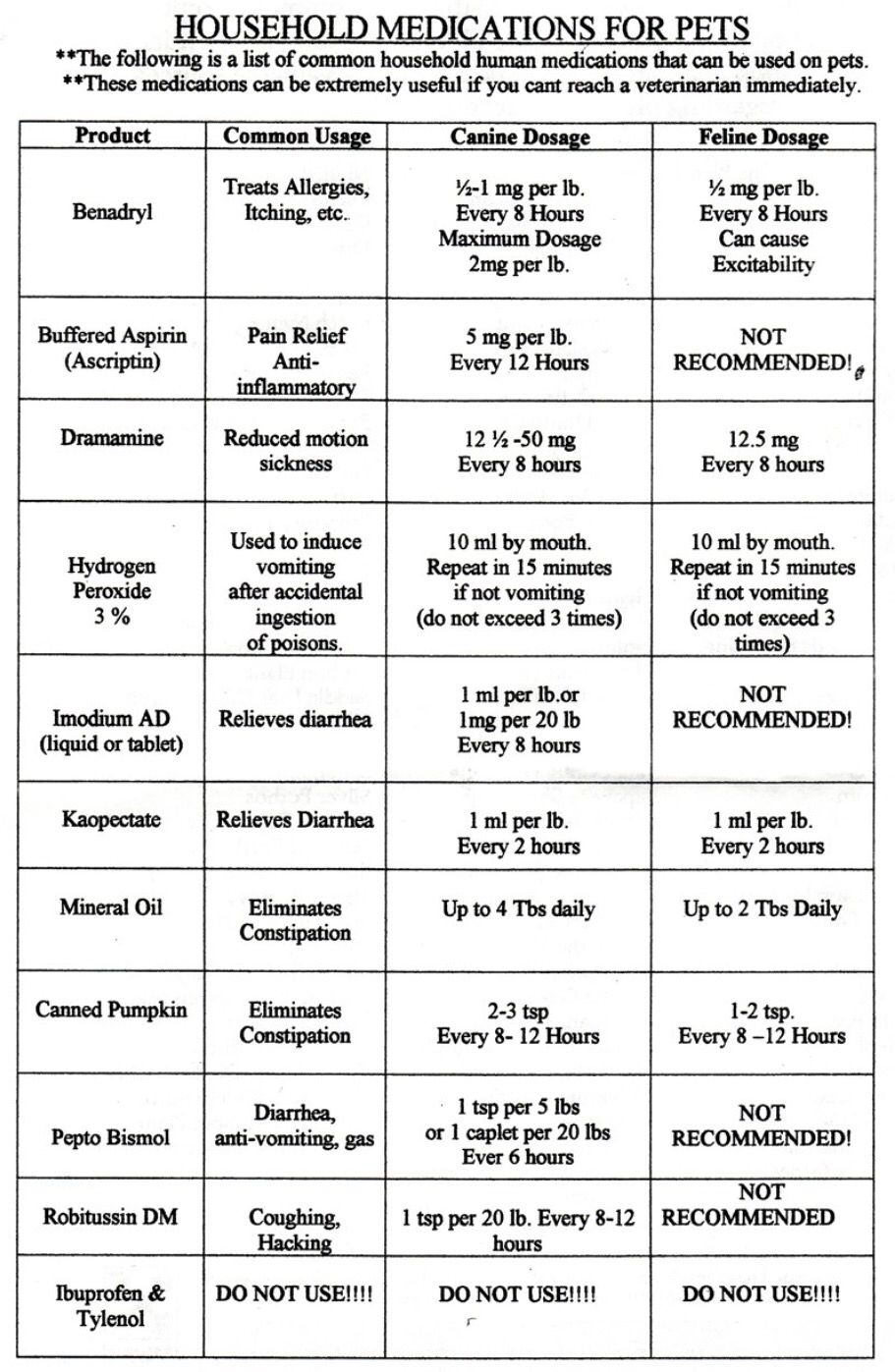 How To Euthanasia A Cat With Over The Counter Drugs