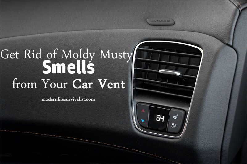 How To Get Mold Out Of Car Vents 2021