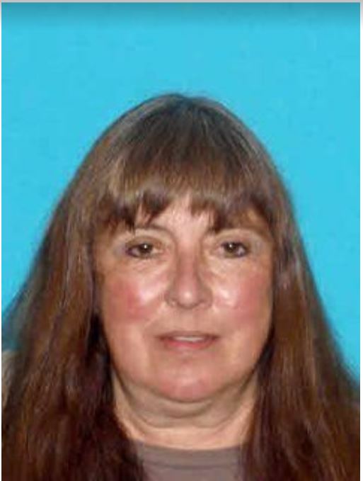 Search Continues For Missing Kansasville Woman Local