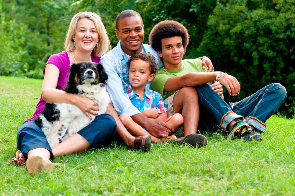 Step Parent Adoption San Antonio Lawyers The Whitley