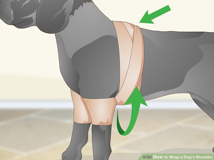 Ace Bandage For Dog Knee