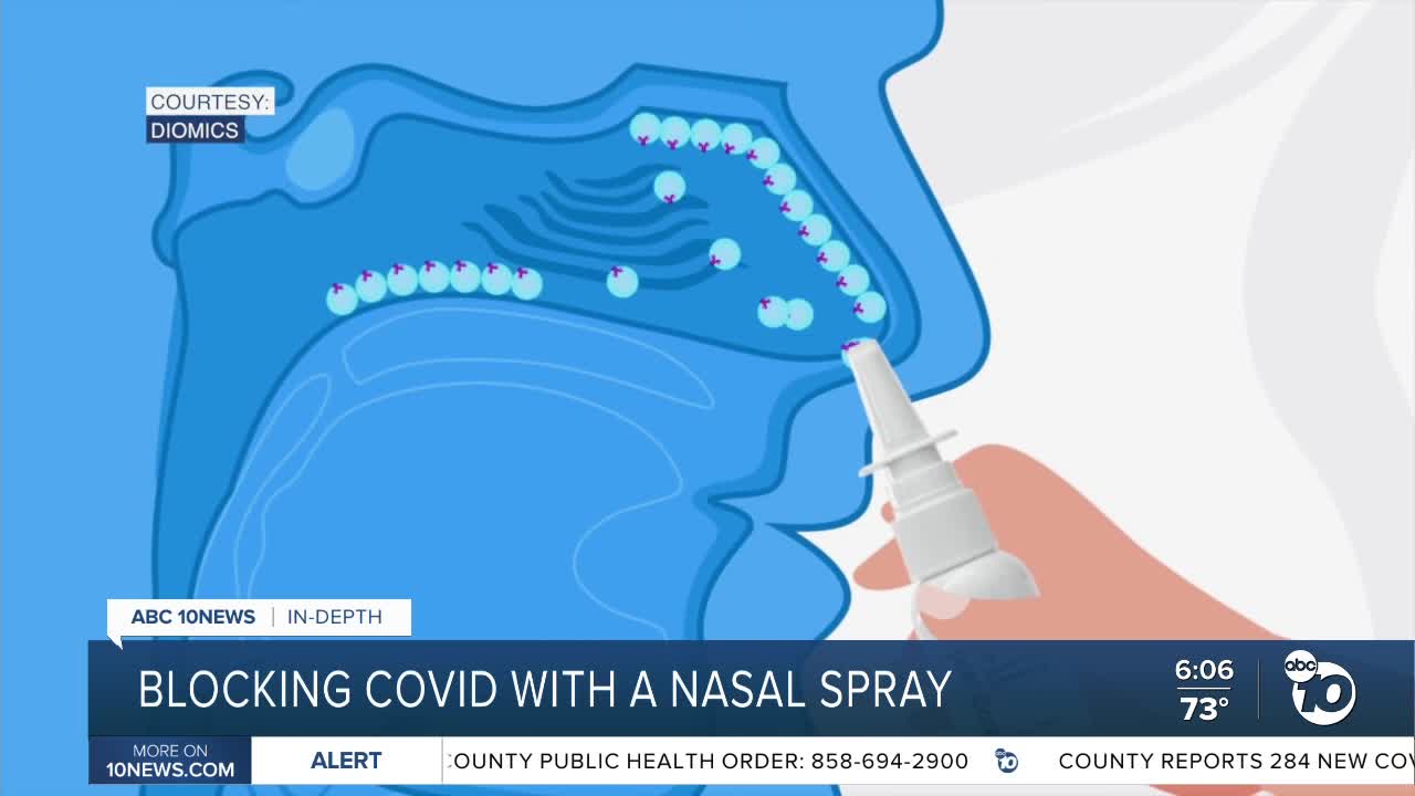 Cloned antibodies may be key to COVIDblocking nasal spray